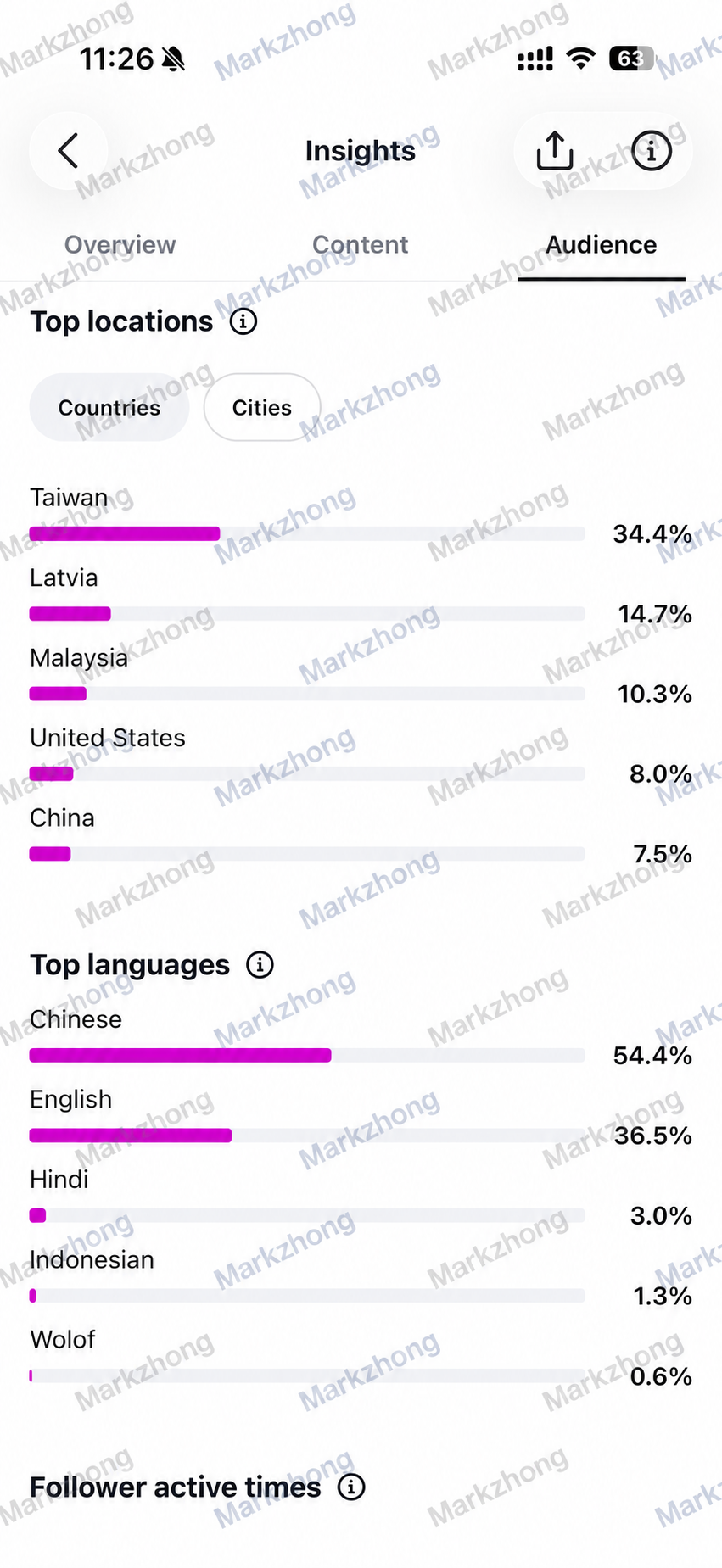 Watermarked earlier audience snapshot showing Chinese as the largest listed language